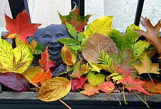 Birthday Walk Leaves - photo by Sharani