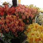 flowers in Pike Place Market flowers in Pike Place Market