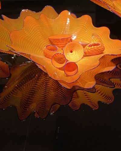 Chihuly exhibit in Arizona