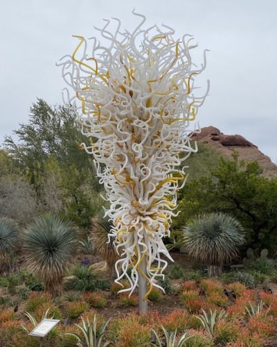 Chihuly DBG